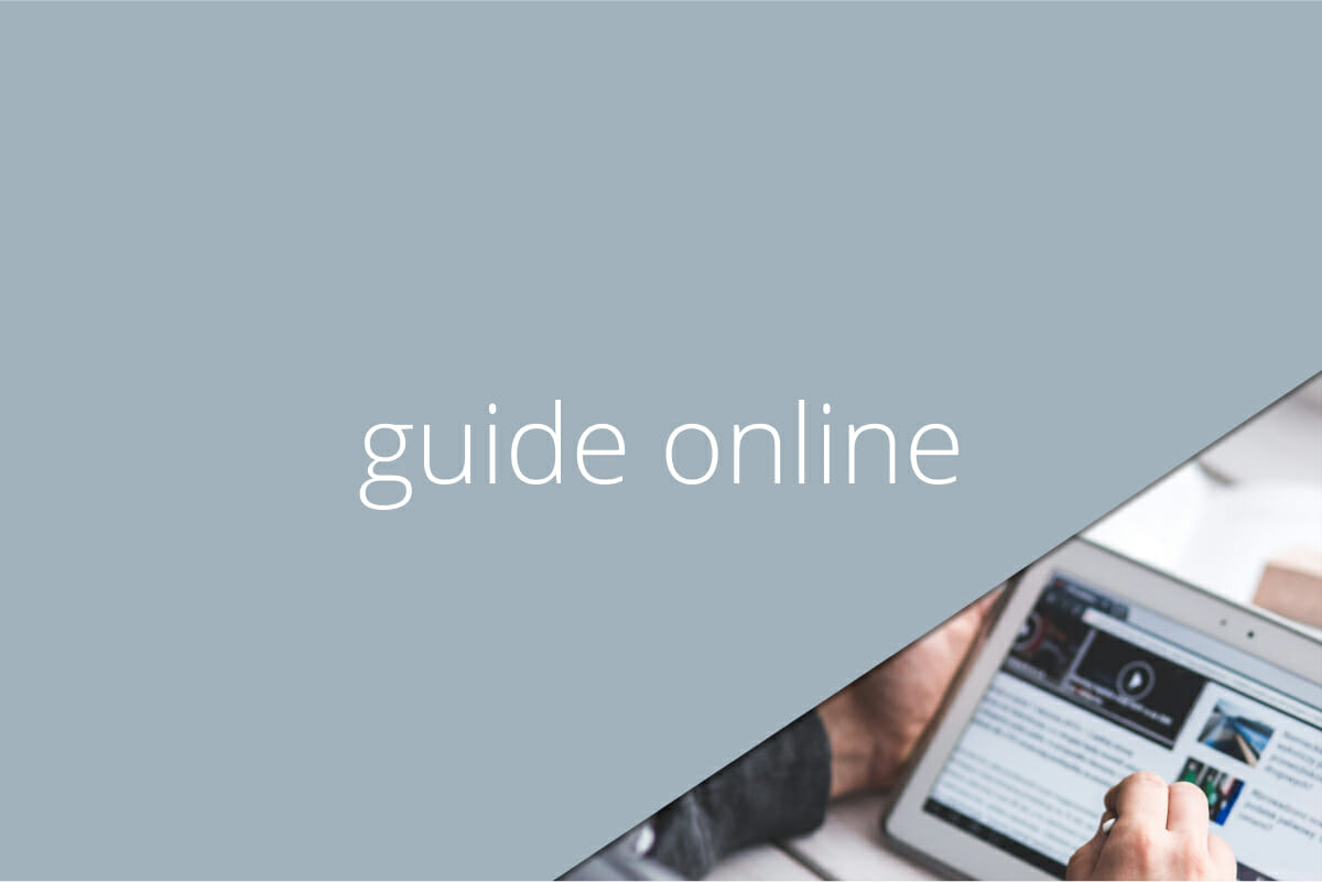 Guide online